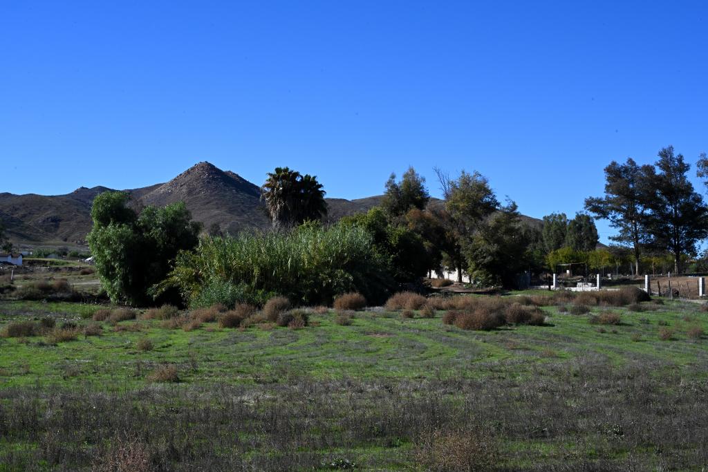 Good Hope area Landscape/fields with mountains in background 