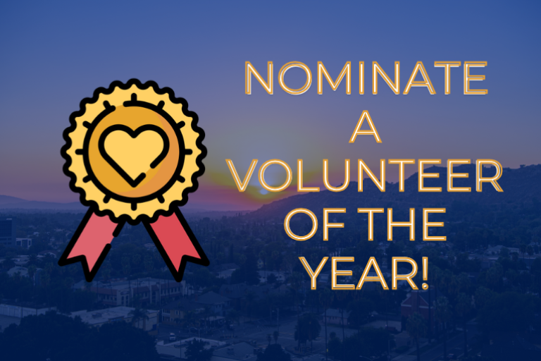 Volunteer of the Year 
