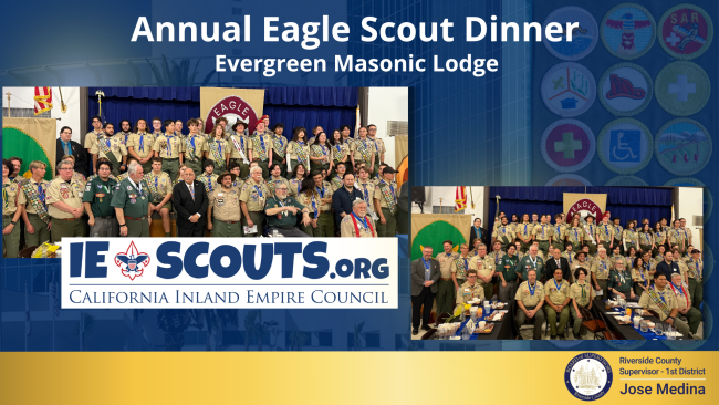 Eagle Scouts