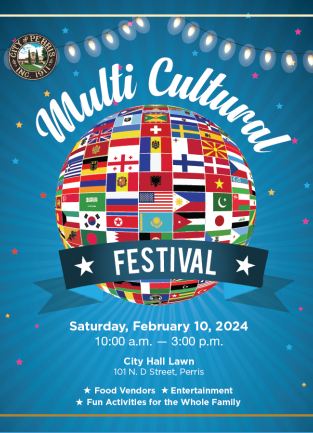 Multi-Cultural Festival Flyer 